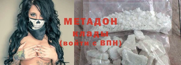 стаф Алзамай