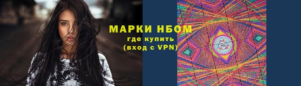 стаф Алзамай
