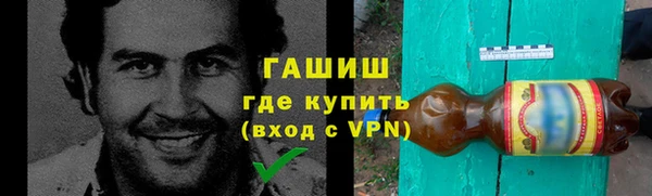стаф Алзамай