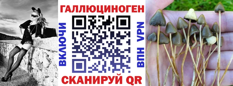 Псилоцибиновые грибы мухоморы купить наркотик KRAKEN рабочий сайт Пермь