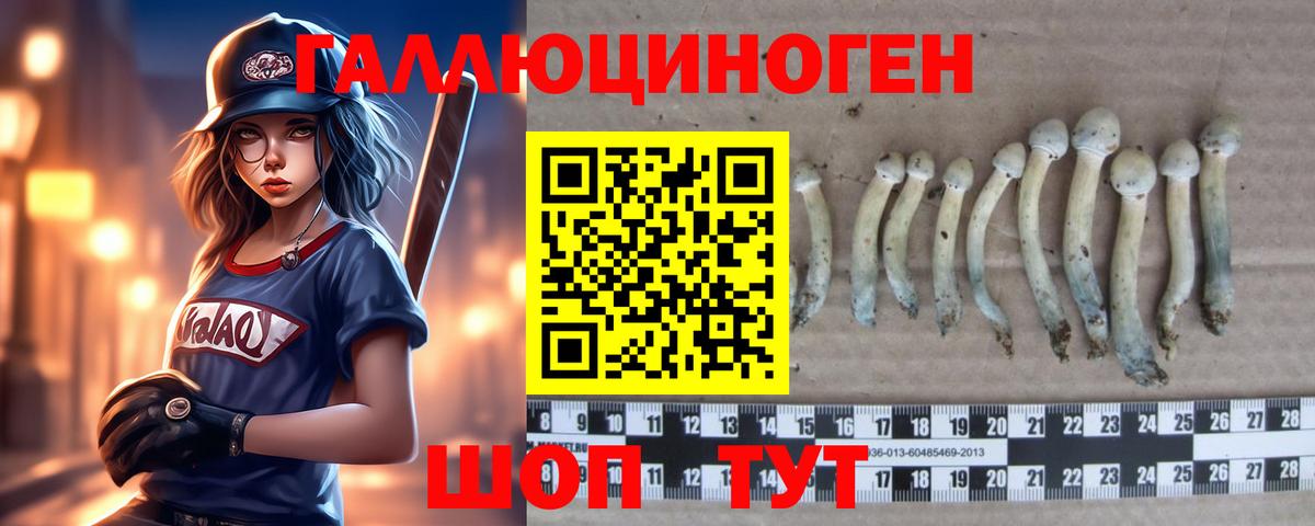 Псилоцибиновые грибы MAGIC MUSHROOMS  Вход с VPN  Пермь 